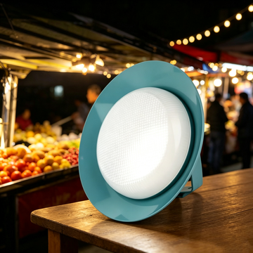 LED Rechargeable Bulb Light